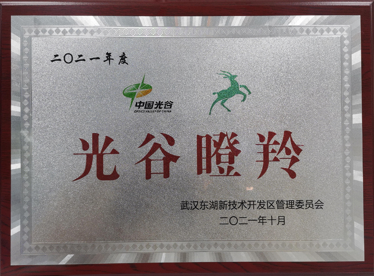 2021年东湖高新区瞪羚企业